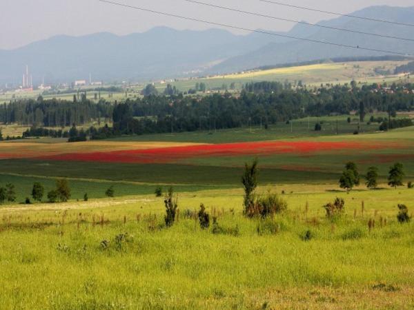 Shipka It Hotel Εξωτερικό φωτογραφία